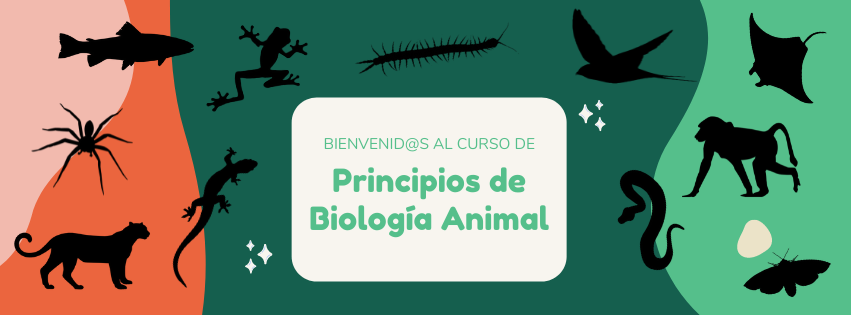 Portada de bienvenida al curso de Principios de Biología Animal. Decorada con siluetas negras de diversos animales