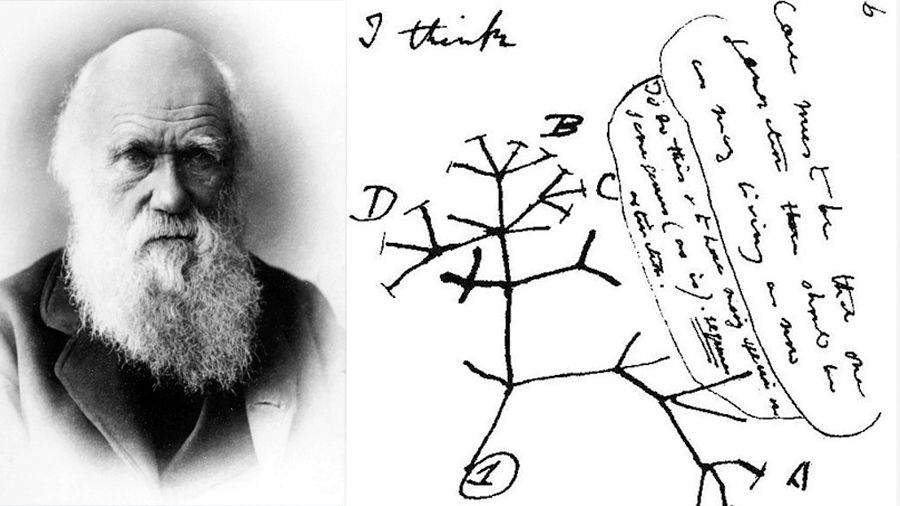 mod1_darwin