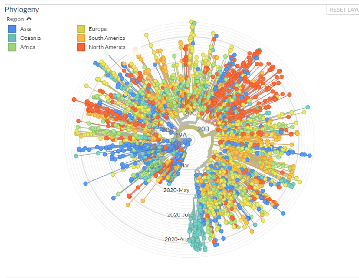 SARS-Cov-2 Nexstrain