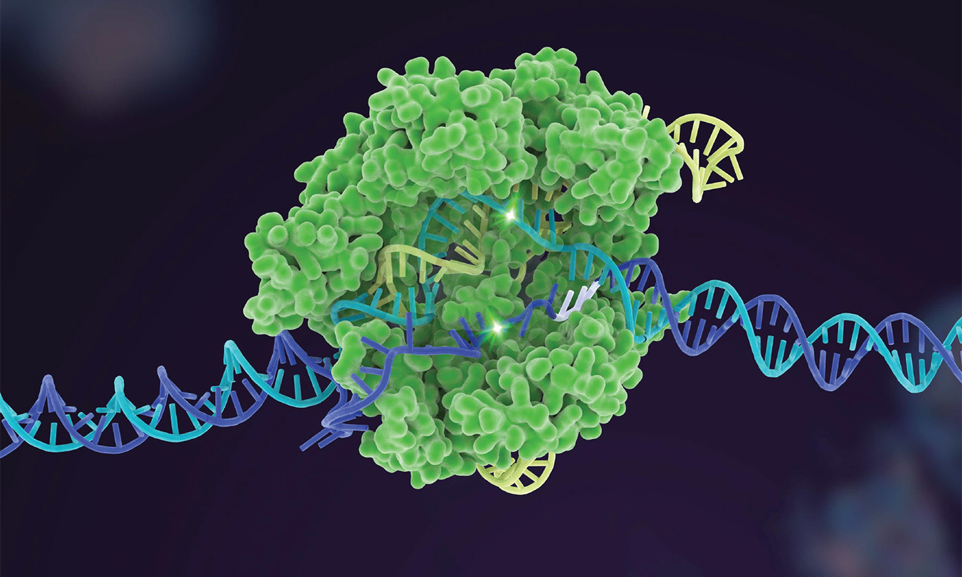 CRISPR-Cas9