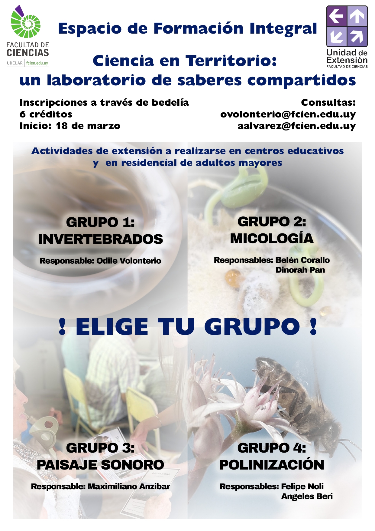 Afiche del EFI donde se presentan los 4 grupos de práctico: invertebrados, micología, paisaje sonoro y polinización